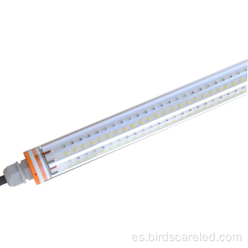 Tubo LED T8 de ahorro de energía de alta luminosidad de 9W